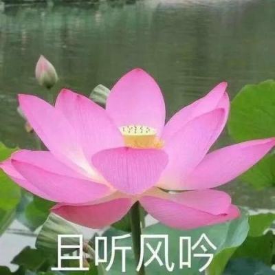 半岛官方网站下载
